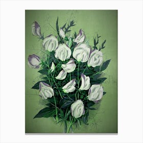 White Lilies Canvas Print