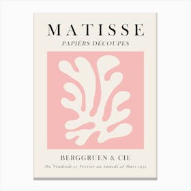 Matisse organic floral 1 Canvas Print