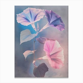 Iridescent Flower Morning Glory 6 Canvas Print