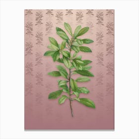 Vintage Firetree Plant Botanical on Dusty Pink Pattern n.2450 Canvas Print