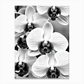 Orchids B&W Pencil 1 Flower Canvas Print