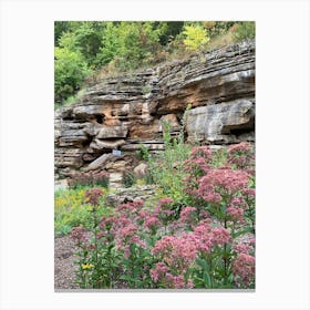 Rock Garden Canvas Print