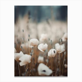 White Poppy Field Canvas Print