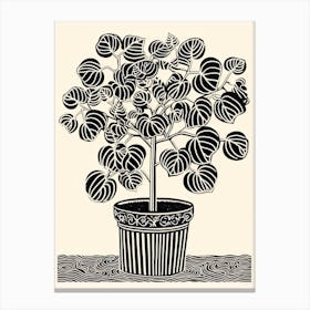 B&W Plant Illustration Rubber Plant Tineke Canvas Print