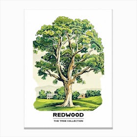 Redwood Tree Storybook Illustration 2 Poster Canvas Print