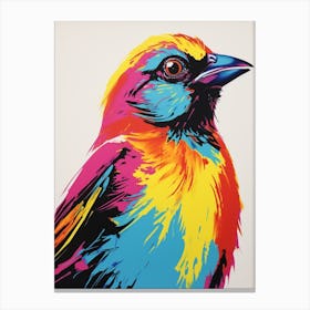 Andy Warhol Style Bird Cowbird 3 Canvas Print