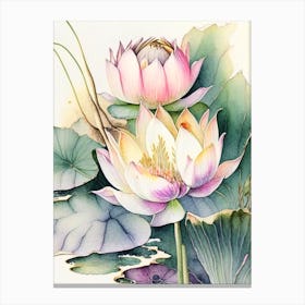 Lotus Flowers In Park Watercolour Ink Pencil 4 Canvas Print