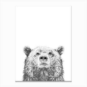 Bear Animal Print Canvas Print