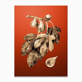 Gold Botanical Fig on Tomato Red n.0884 Canvas Print