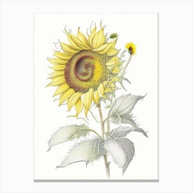 Sunflower Floral Quentin Blake Inspired Illustration 4 Flower Canvas Print