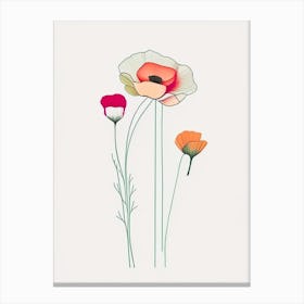 Ranunculus Floral Minimal Line Drawing 1 Flower Canvas Print