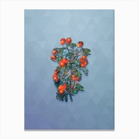 Vintage Sweet Scented Hawthorn Botanical Art on Summer Song Blue Canvas Print