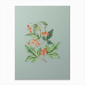 Vintage Red Loasa Flower Botanical Art on Mint Green n.0069 Canvas Print