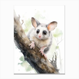 Light Watercolor Painting Of A Leadbeaters Possum 4 Canvas Print