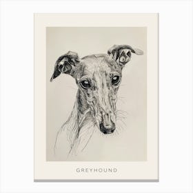 Greyhound Line Sketch 1 Poster Canvas Print