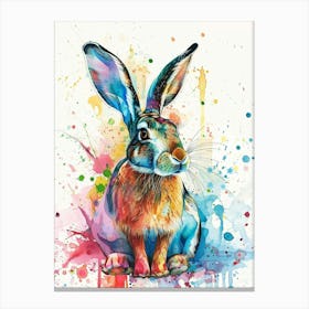 Rabbit Colourful Watercolour 1 Canvas Print
