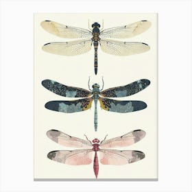 Colourful Insect Illustration Dragonfly 8 Canvas Print