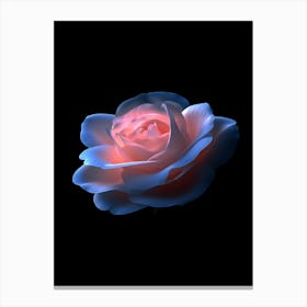 Rose Stock Videos & Royalty-Free Footage Canvas Print