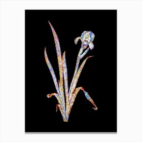 Stained Glass Crimean Iris Mosaic Botanical Illustration on Black n.0275 Canvas Print