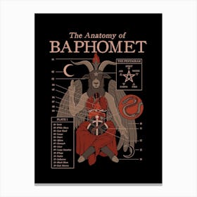 The Anatomy Of Baphomet Canvas Print