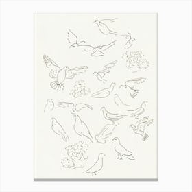 Doves Canvas Print