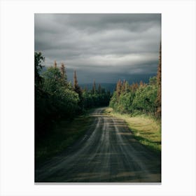 Forest Gravel Road Grey Sky Canvas Print