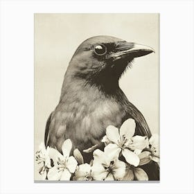 Crow In Bloom Canvas Print