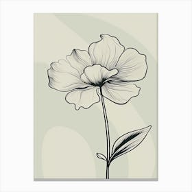 Daffodils Line Art Flowers Illustration Neutral 2 Canvas Print