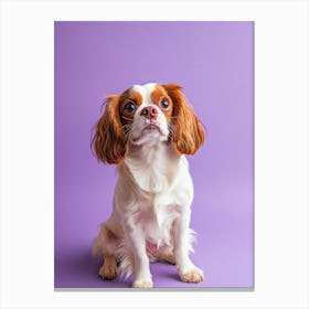 King Charles Spaniel On Purple Background.Generated AI. Wall Art Print Canvas Print