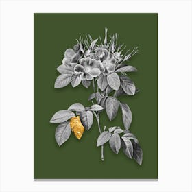 Vintage Pasture Rose Black and White Gold Leaf Floral Art on Olive Green n.0012 Canvas Print