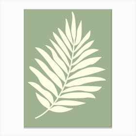 Palm Leaf Canvas Print