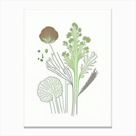 Celery Seeds Spices And Herbs Minimal Line Drawing 5 Canvas Print