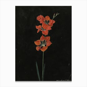 Vintage Red Botanical Canvas Print