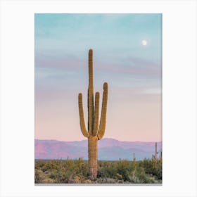 Desert Cactus Moon Canvas Print