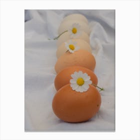 Eggs And Daisies Canvas Print