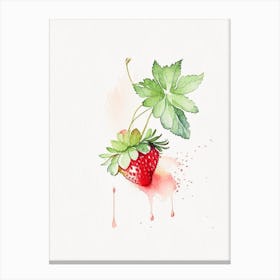 Day Neutral Strawberries, Plant, Minimalist Watercolour Canvas Print