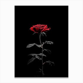 Single Red Rose Isolated On Black Background 4 Canvas Print