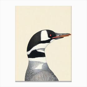 Common Loon Illustration Bird Canvas Print