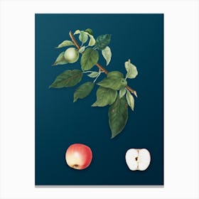 Vintage Apple Botanical Art on Teal Blue Canvas Print