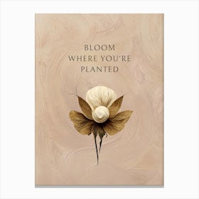 Bloom Where You'Re Planted Canvas Print