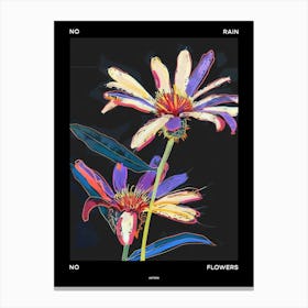 No Rain No Flowers Poster Asters 3 Canvas Print