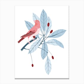 Finch In A Fruit Tree Canvas Print