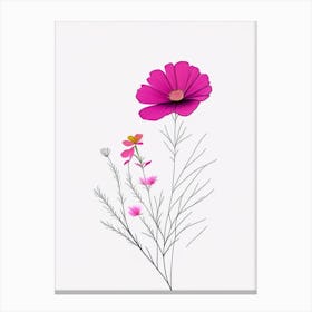 Cosmos Floral Minimal Line Drawing 1 Flower Canvas Print