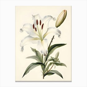 Lily Of The Valley 38 Canvas Print