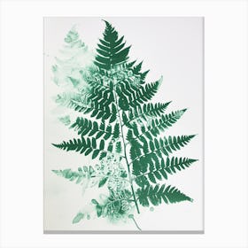Green Ink Painting Of A Silver Lace Fern 2 Canvas Print