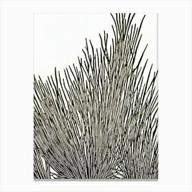 Acropora Intermedia Iiii Linocut Canvas Print