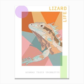 Agamas Tegus Uromastyx Abstract Modern Illustration 4 Poster Canvas Print