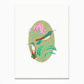 Hummingbirds Green Canvas Print