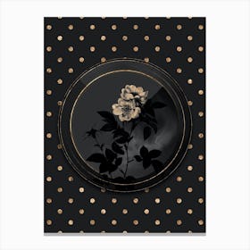 Shadowy Vintage White Anjou Roses Botanical in Black and Gold n.0087 Canvas Print