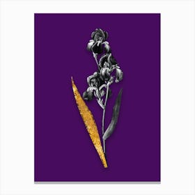 Vintage Dalmatian Iris Black and White Gold Leaf Floral Art on Deep Violet n.1164 Canvas Print